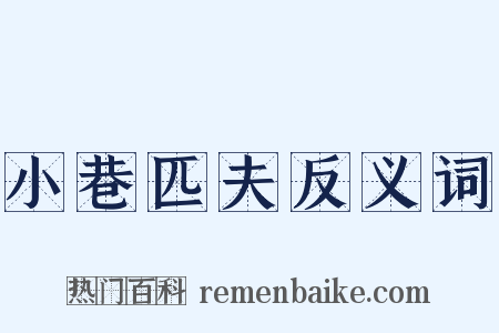 小巷匹夫反义词是什么意思的图片